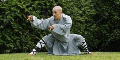 filmes sobre mestre de kung fu