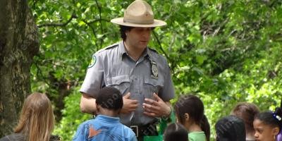 filmes sobre guarda florestal