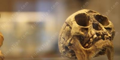 filmes sobre antropologia
