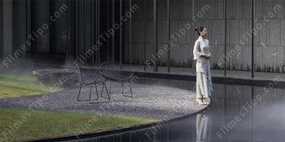 filmes sobre contemplativo