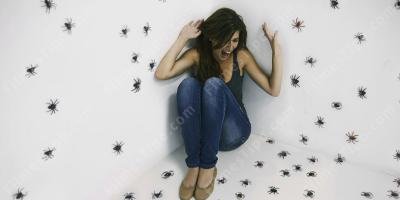 filmes sobre aracnofobia
