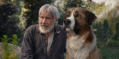 filmes sobre amizade animal humano