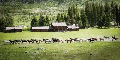 filmes sobre rancho de cavalos