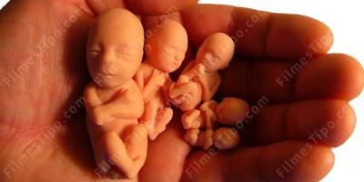 filmes sobre aborto ilegal