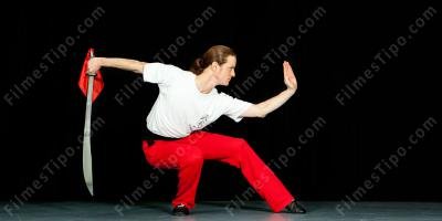 filmes sobre Wu Shu